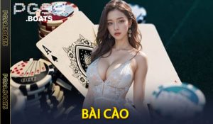 Bài Cào