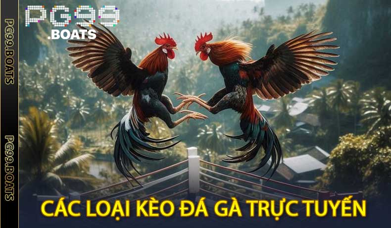 Các Loại Kèo Đá Gà Trực Tuyến