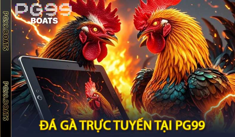 Đá Gà Trực Tuyến tại PG99